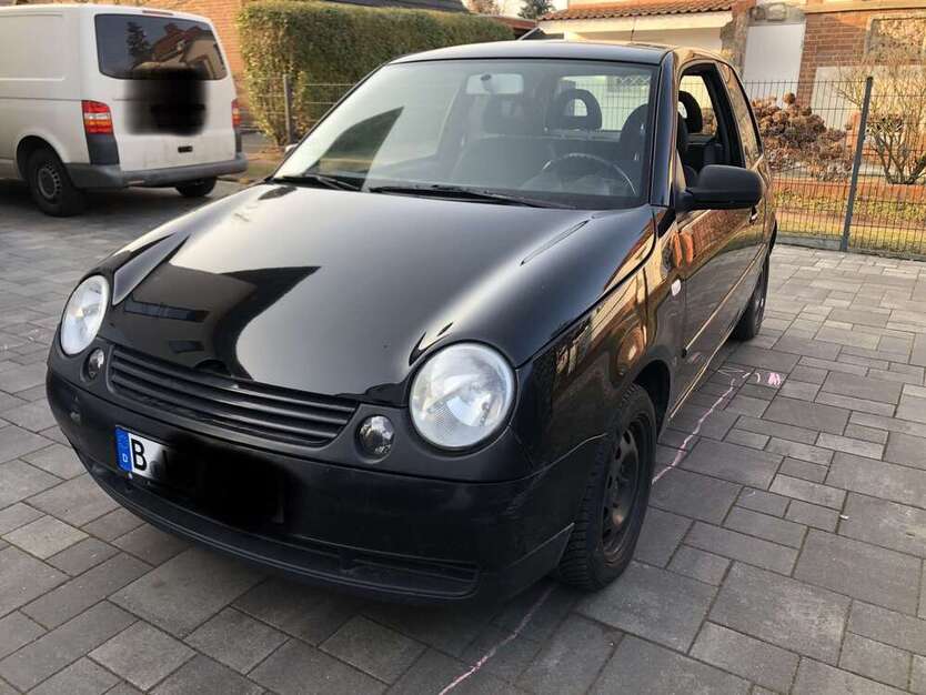 Lupo