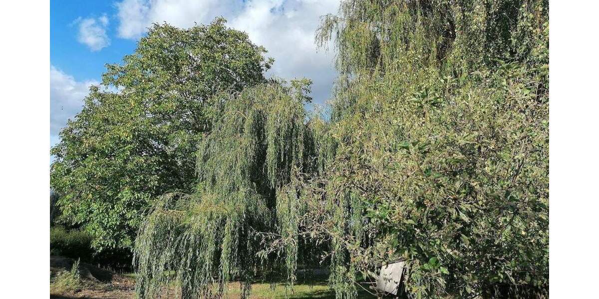 Doppelhaushälfte Ahrensfelde Lindenberg - 4 Zimmer, 115 m&sup2;, 349.400&euro; | Angebot:25996169