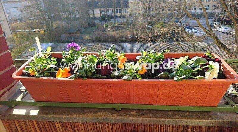 Etagenwohnung Berlin Karlshorst - 3 Zimmer, 70 m&sup2;, 650&euro; | Angebot:25915783