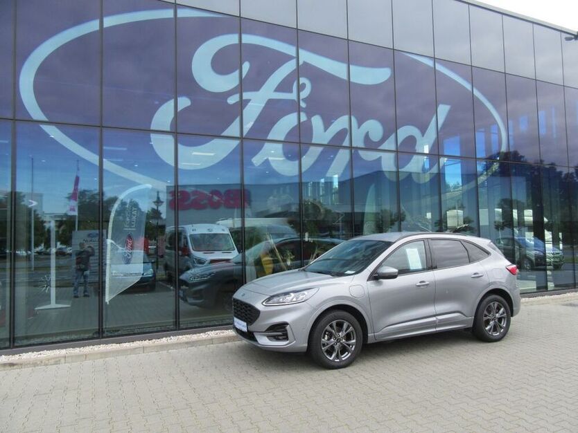 Kuga