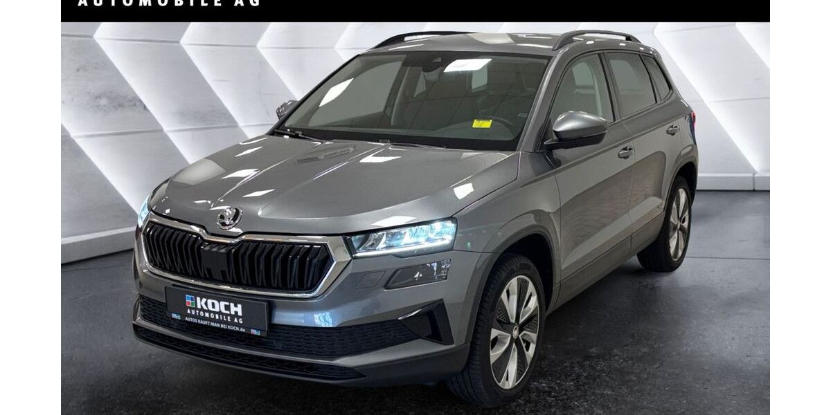 Skoda Karoq 122.690 km 20.990 &euro; Berlin 12681