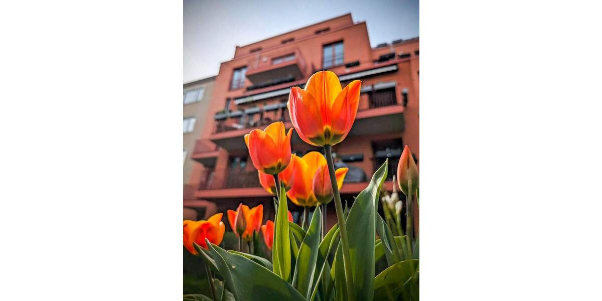 Etagenwohnung Berlin Lichterfelde - 5 Zimmer, 135 m&sup2;, 2.977&euro; | Angebot:25685198