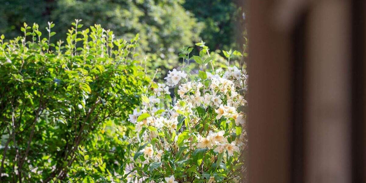 Etagenwohnung Berlin Kreuzberg - 5 Zimmer, 130 m&sup2;, 1.140.000&euro; | Angebot:24773402