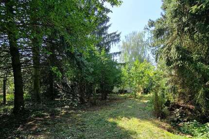 BAUTRÄGERFREIES GRUNDSTÜCK - RUHIGE LAGE VON PETERSHAGENEGGERSDORF...... zimmer