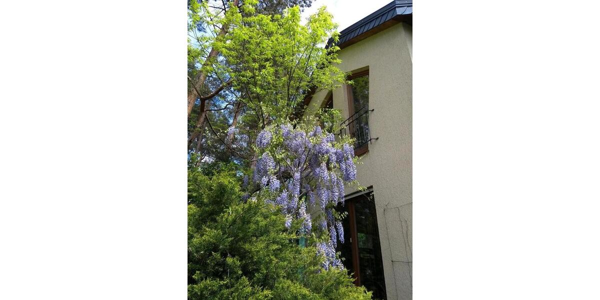 Einfamilienhaus Wildau - 8 Zimmer, 180 m&sup2;, 690.000&euro; | Angebot:25613211