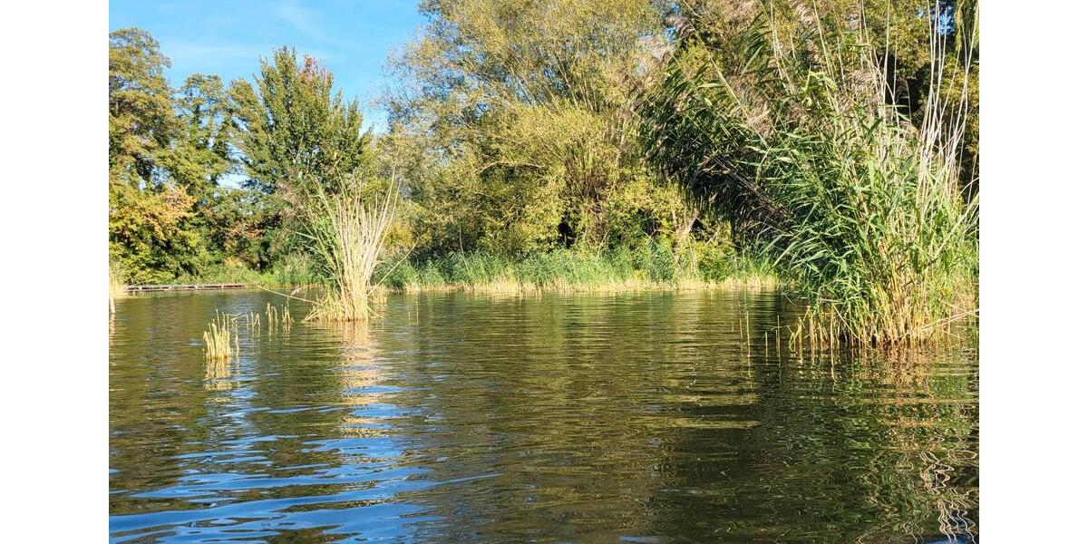 Dachgeschoßwohnung Berlin Spandau - 3 Zimmer, 96 m&sup2;, 3.500&euro; | Angebot:24352821