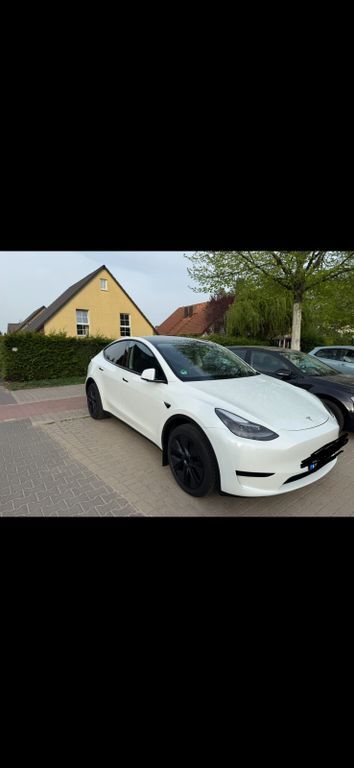 Model Y
