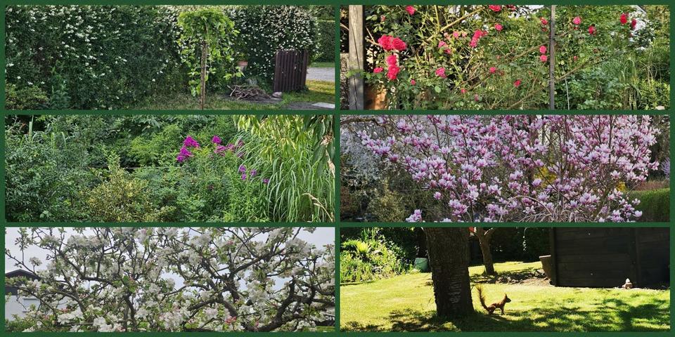 Bungalow Neuenhagen bei Berlin - 1 Zimmer, 37 m&sup2;, 22.000&euro; | Angebot:24784867