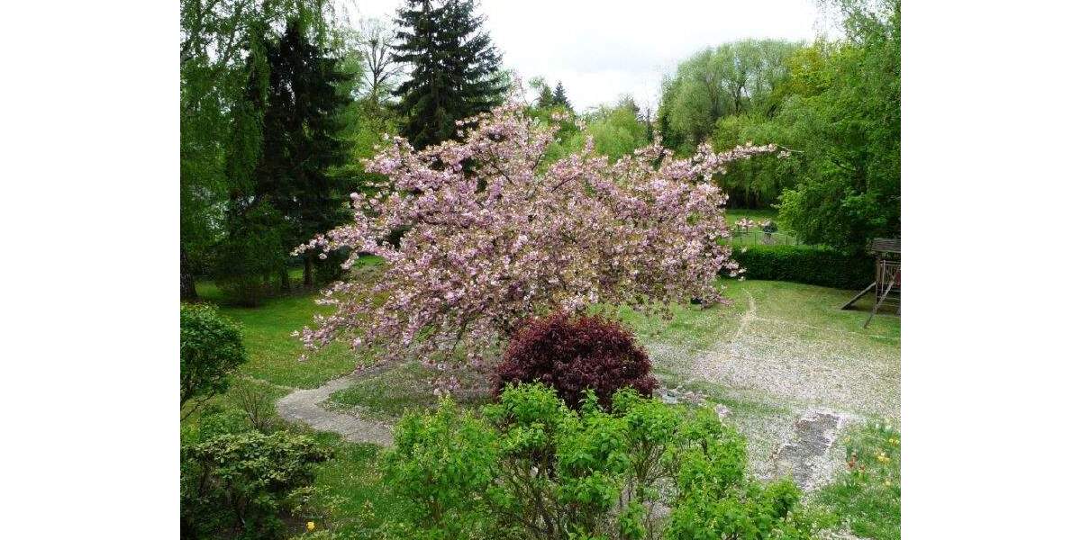 Etagenwohnung Berlin Lankwitz - 2 Zimmer, 76 m&sup2;, 379.000&euro; | Angebot:24767249