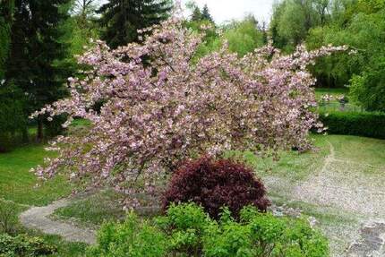 Wohnung Berlin Lankwitz - 2 Zimmer, 76 m&sup2;, 379.000&euro; | Angebot:24767249