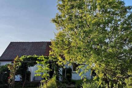 Haus Hoppegarten - 4 Zimmer, 70 m&sup2;, 472.000&euro; | Angebot:26724440
