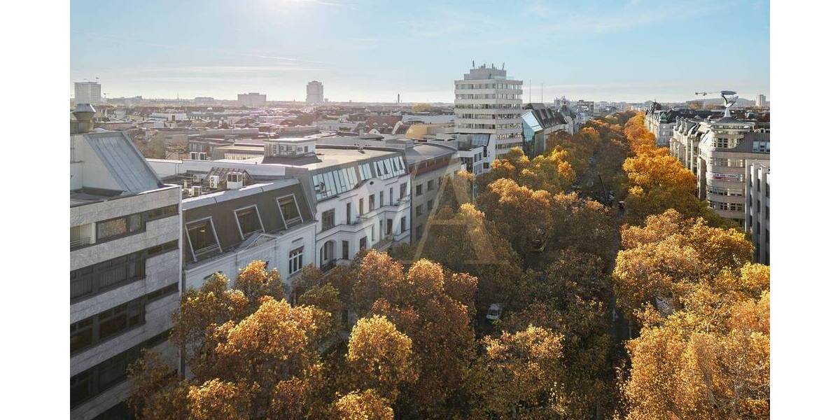 Gewerbeobjekt Berlin Charlottenburg - 9 Zimmer, 292 m&sup2;, 8.600&euro; | Angebot:25985428