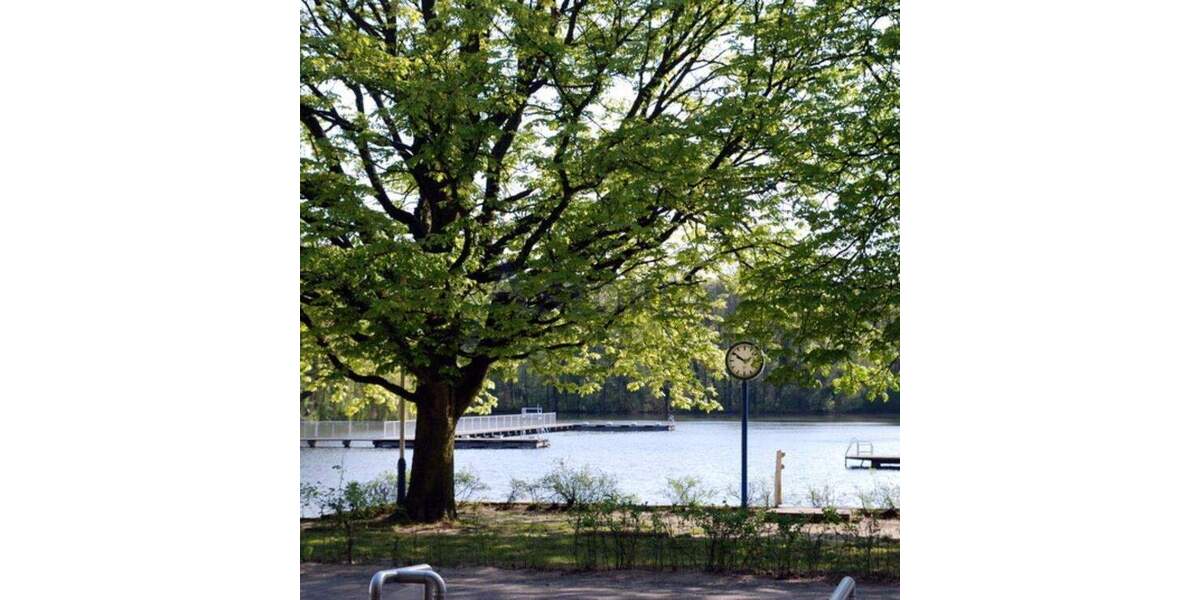 Etagenwohnung Berlin Reinickendorf - 2 Zimmer, 61 m&sup2;, 350.500&euro; | Angebot:25778444