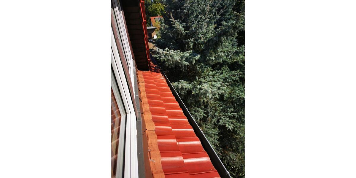 Dachgeschoss Wohnung, voll möbliert, in naturnaher Umgebung 2 zimmer