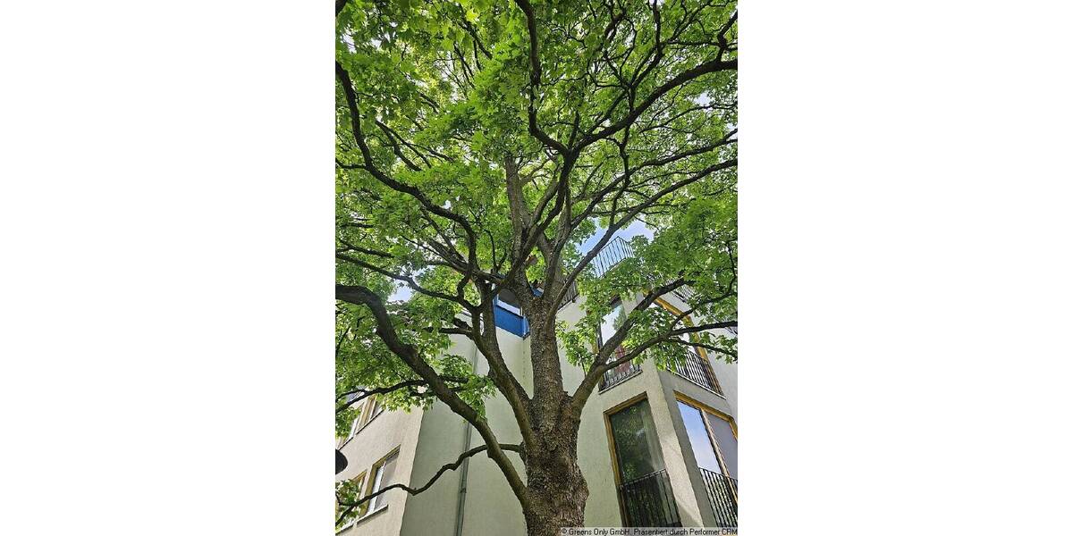Etagenwohnung Berlin Rosenthal - 2 Zimmer, 70 m&sup2;, 325.000&euro; | Angebot:26450784