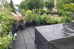 Terrassenwohnung Berlin Hermsdorf - 2 Zimmer, 85 m&sup2;, 1.232&euro; | Angebot:26392104