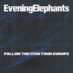 Evening Elephants
