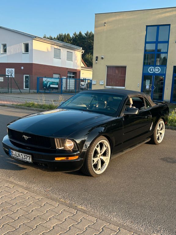 Mustang