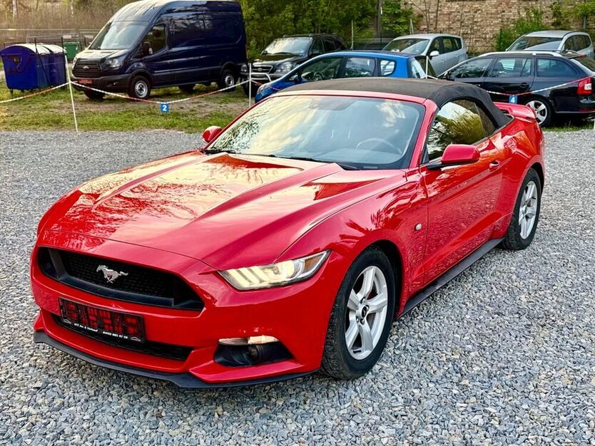 Mustang