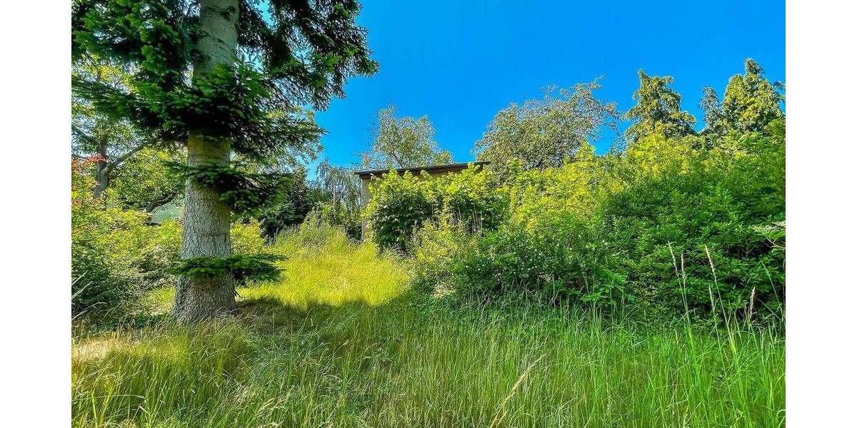 Wassergrundstück! Idyllisches Anwesen direkt am Haussee zimmer