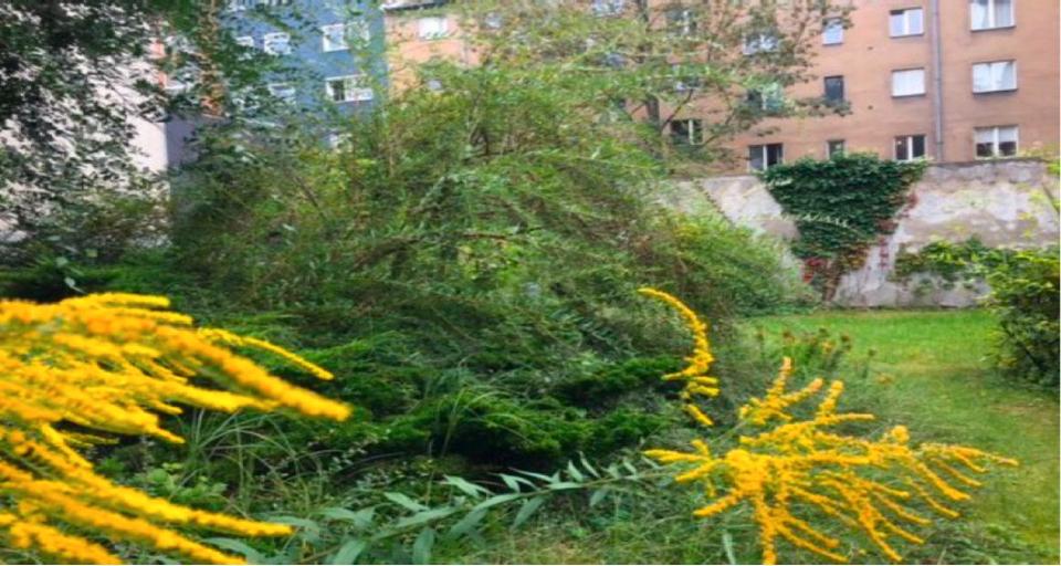 Erdgeschoßwohnung Berlin Charlottenburg-Wilmersdorf - 2 Zimmer, 46 m&sup2;, 250.000&euro; | Angebot:26109394