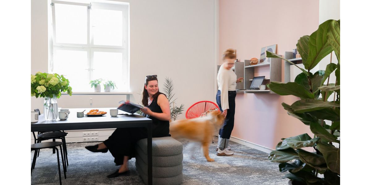 Gewerbeobjekt Berlin Tegel - 299&euro; | Angebot:26024235