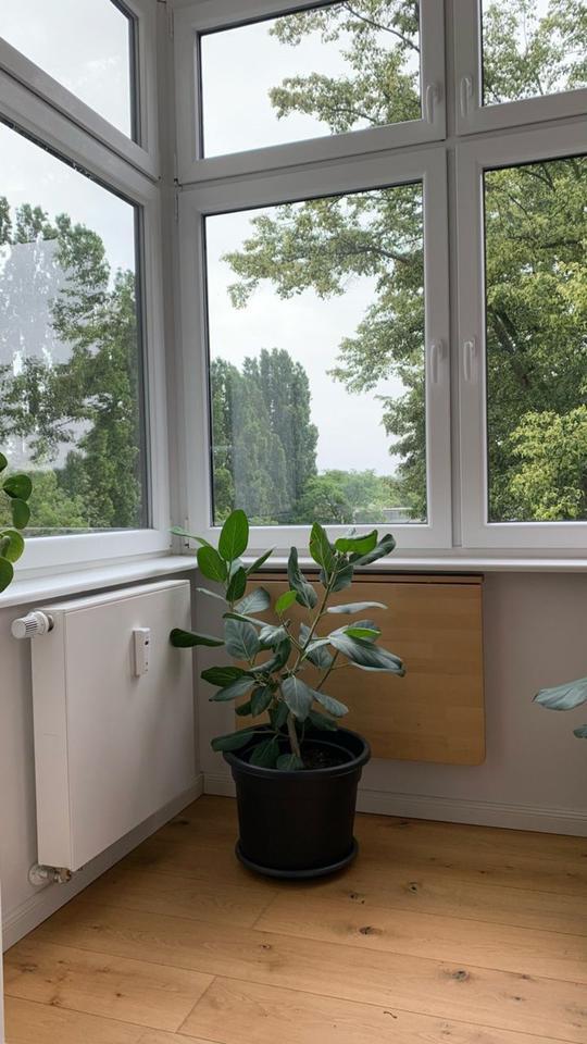 Zwischenmiete -Renovierte Wohnung Untervermietung für 5 Monate zimmer