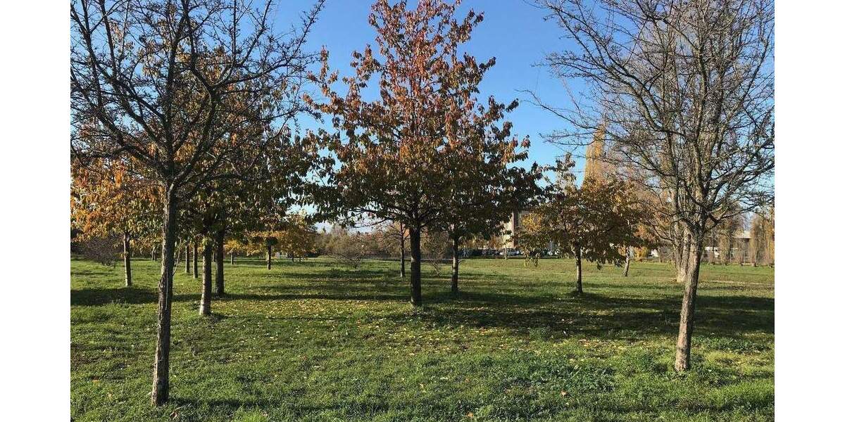 Grundstück Berlin Spandau - 475.000&euro; | Angebot:25999235