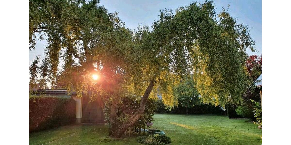 Einfamilienhaus Königs Wusterhausen - 695.000&euro; | Angebot:27004901