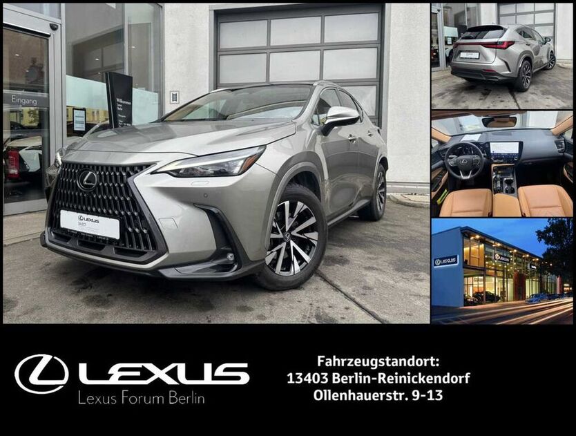 NX 350h