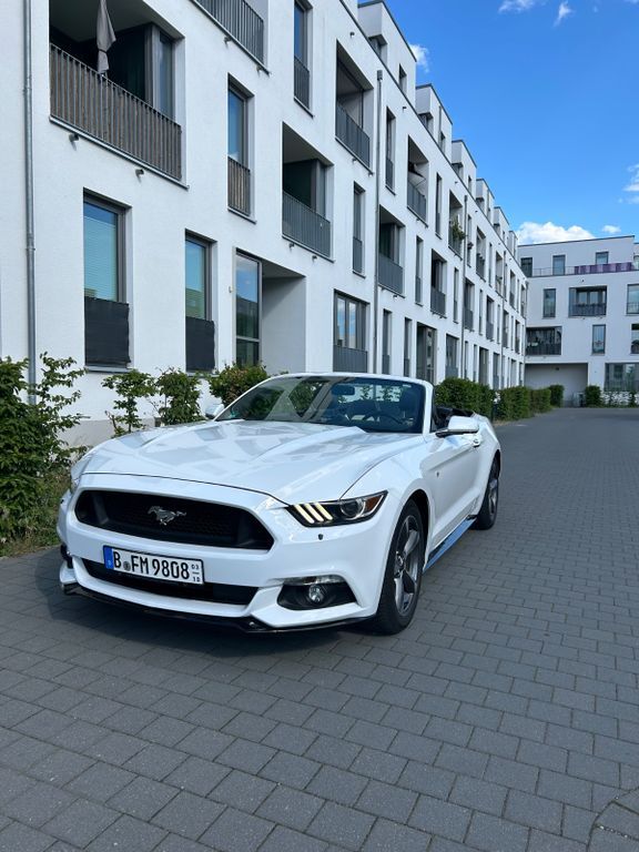 Mustang