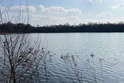 Leerstehendes Reihenendhaus: 100m² groß + ruhig im Grünen gelegen, Falkensee, nahe Potsdam + Berlin 4 zimmer