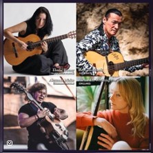 Nacht der Gitarren 04.11.2025 Laeiszhalle Hamburg