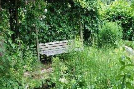 Grundstück Berlin Rahnsdorf - 220.000&euro; | Angebot:25769656