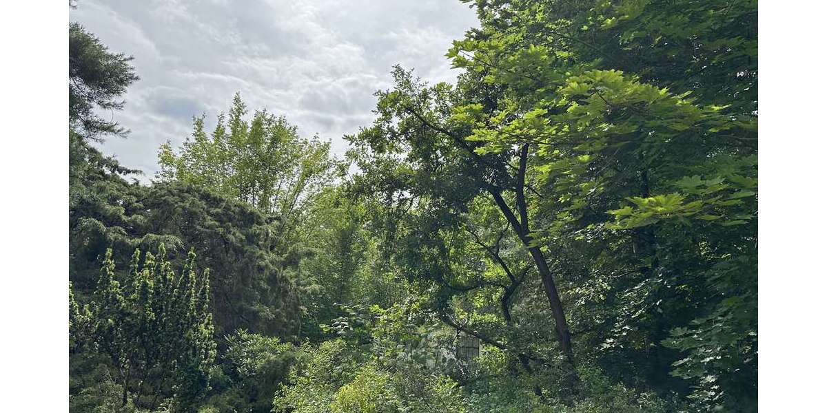 Grundstück Berlin Treptow-Köpenick - 368.000&euro; | Angebot:26012860