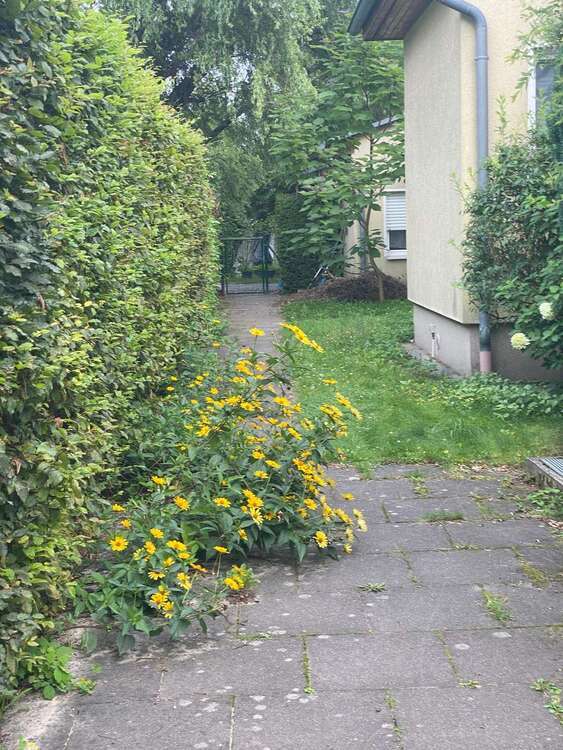 Verkauf eines 96 qm eingeschossigen Reihenhauses in sehr ruhiger Anliegerstraße nahe des Nymphensees 4 zimmer
