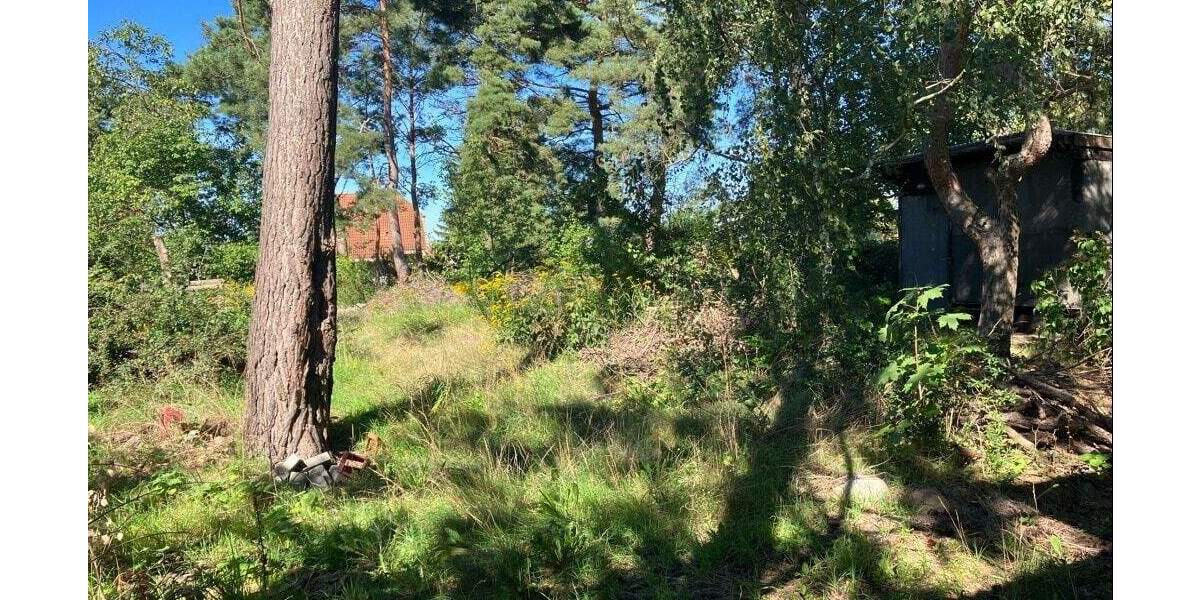 Grundstück Fredersdorf-Vogelsdorf Vogelsdorf - 290.000&euro; | Angebot:25739588