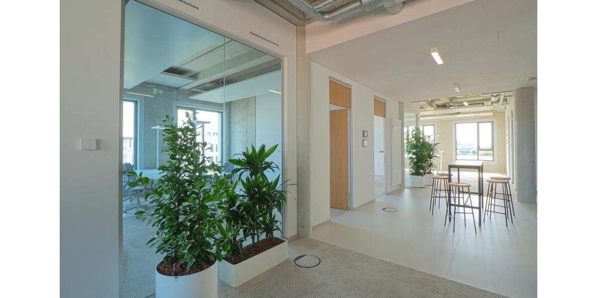 Gewerbeobjekt Berlin Treptow-Köpenick - 4.830&euro; | Angebot:24552138