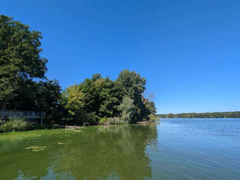 Haus zum Kaufen in Potsdam 999.980 € 153 m²