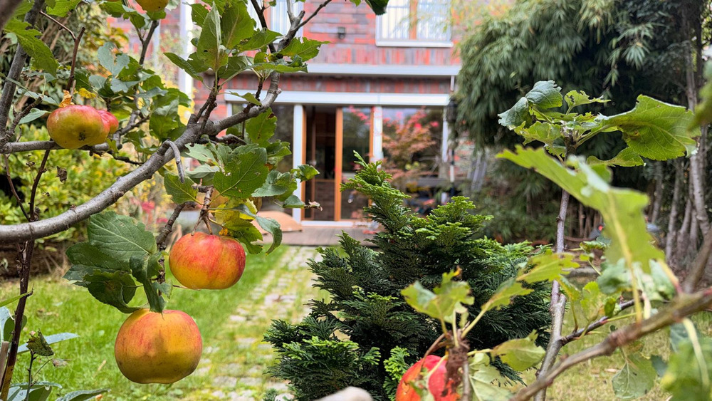 Reihenmittelhaus Berlin Rummelsburg - 6 Zimmer, 191 m&sup2;, 1.948.000&euro; | Angebot:25709961