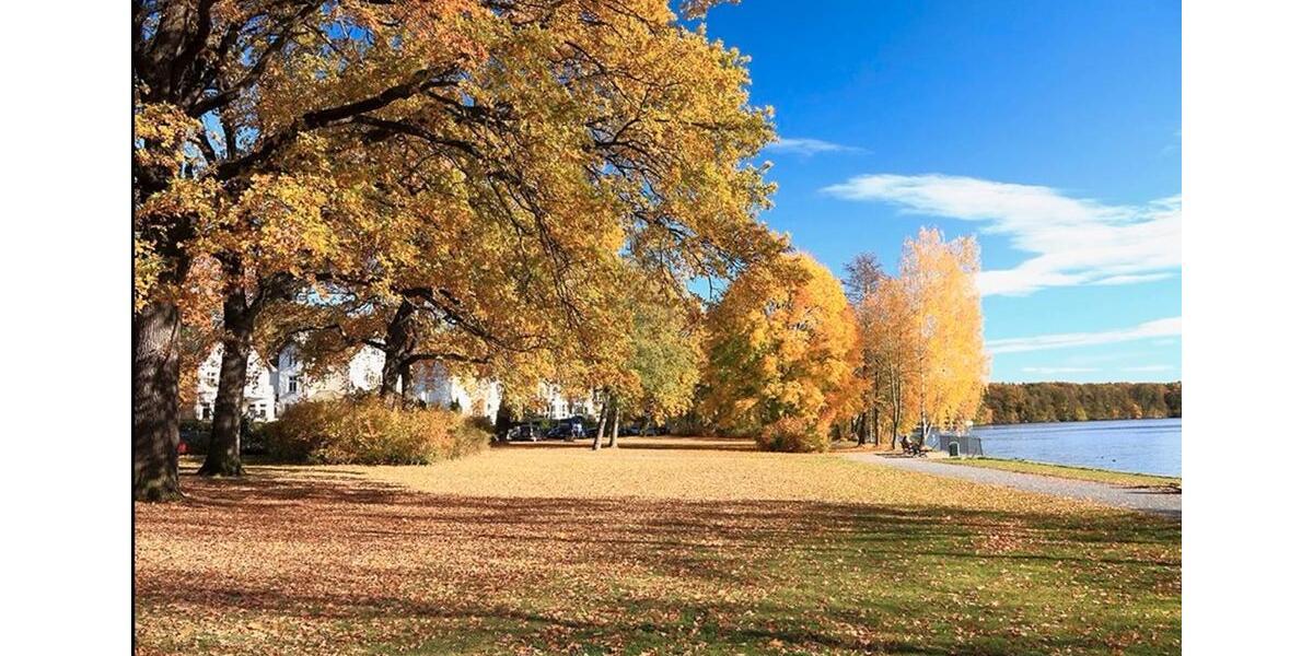 Etagenwohnung Berlin Steglitz-Zehlendorf - 1 Zimmer, 34 m&sup2;, 249.000&euro; | Angebot:25349778