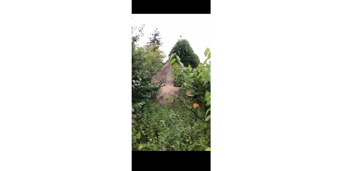 Etagenwohnung Berlin Spandau - 150 Zimmer, 2.600 m&sup2;, 399.999&euro; | Angebot:26035683