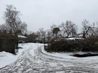 GRUNDSTÜCK IN ZENTRALER LAGE - Grundstück Zeuthen | Angebot:24818566