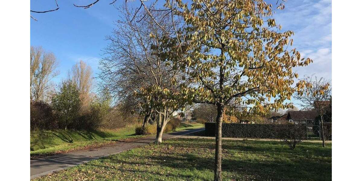 Grundstück Berlin Spandau - 475.000&euro; | Angebot:25999235