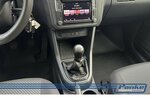 Caddy Kasten Trendline BMT*Klima*Carplay*PDC*USB