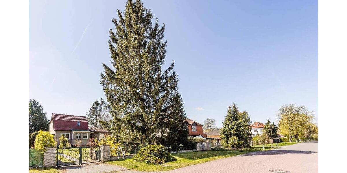 Einfamilienhaus Bernau bei Berlin Schönow - 5 Zimmer, 138 m&sup2;, 545.000&euro; | Angebot:26608591