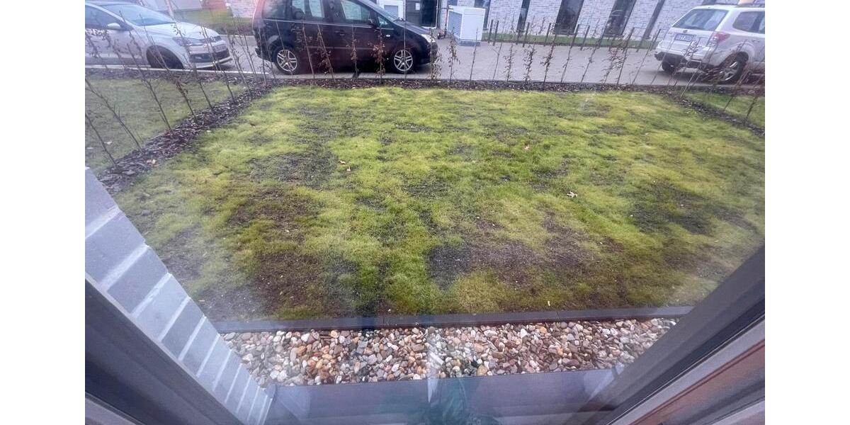 Erdgeschoßwohnung Schönefeld - 2 Zimmer, 55 m&sup2;, 1.100&euro; | Angebot:25855271