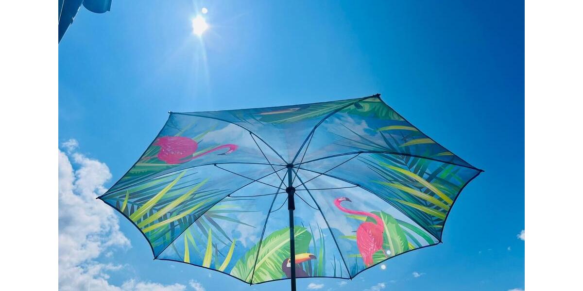 Helle, liebevoll gestaltete 4-Zimmer-Altbau-Oase mit West-Balkon 4 zimmer