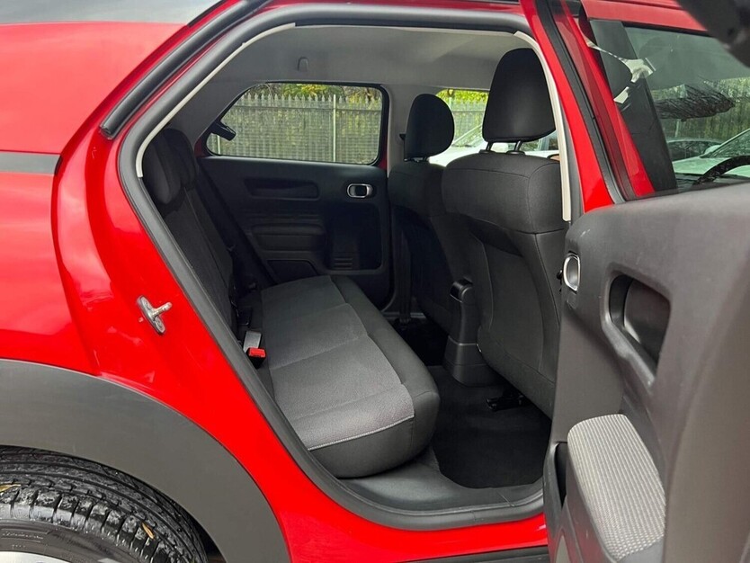 C4 Cactus