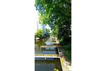Helle & ruhige 1,5-Raum-Whg mit Wasserblick